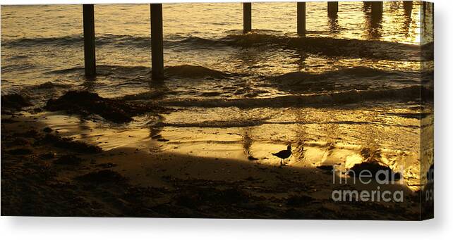 Ocean Canvas Print featuring the photograph Reflecting Gold by Linda Shafer