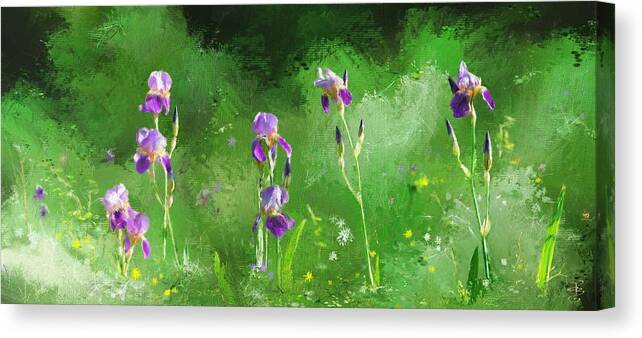 Bearded Canvas Print featuring the digital art Row of irises by Debra Baldwin