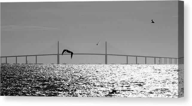 Photo For Sale Canvas Print featuring the photograph Skyway Flyby by Robert Wilder Jr