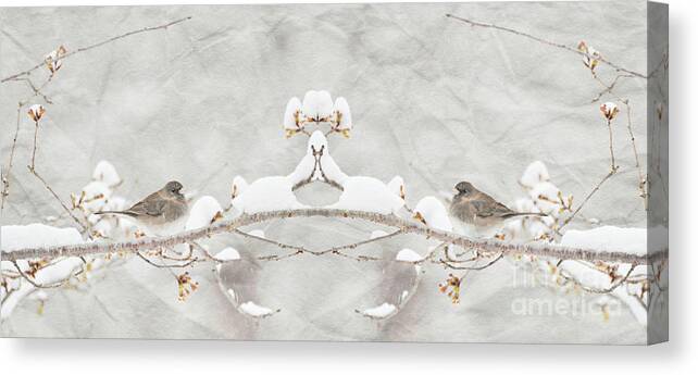 Cherry Tree Canvas Print featuring the photograph Sparrow in the Cherry Tree by Lila Fisher-Wenzel