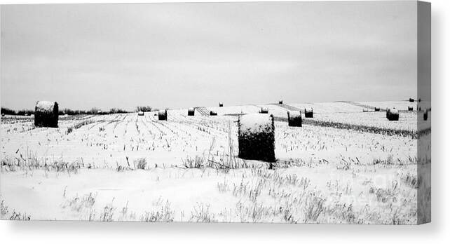 Snow Canvas Print featuring the photograph The Dotted Landscape by Julie Lueders 