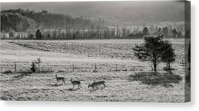 Winter Canvas Print featuring the photograph Winter Morning Moment by Randall Evans