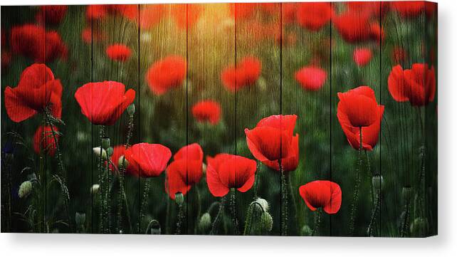 Agriculture Canvas Print featuring the photograph Wodd Poppies by Bess Hamiti