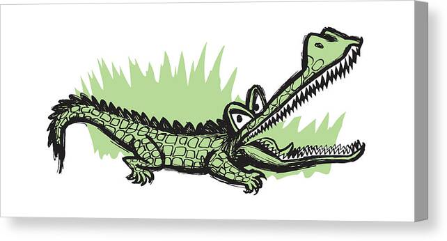 Alligator Canvas Print featuring the drawing Alligator with Open Mouth #1 by CSA Images