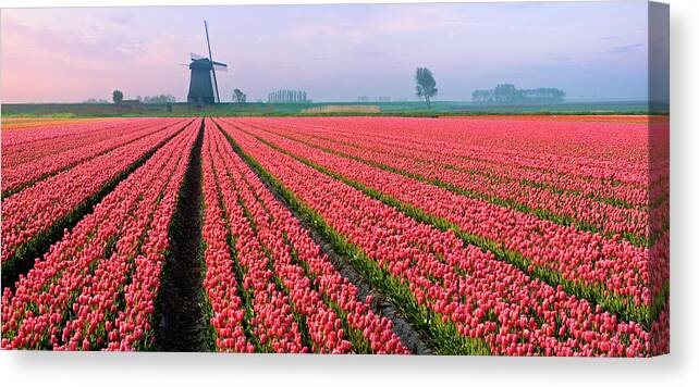 Scenics Canvas Print featuring the photograph Tulips And Windmill #2 by Jacobh
