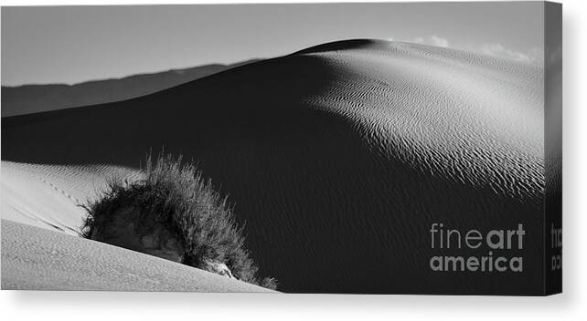 White Sands National Monument Canvas Print featuring the photograph Dunes Of White Sands by Doug Sturgess