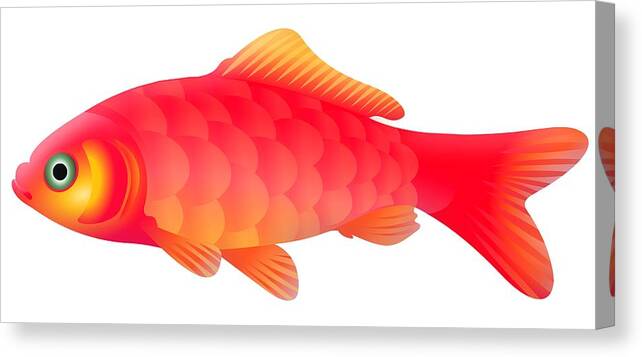 White Background Canvas Print featuring the photograph Goldfish by Illustration By Sjors Tomlow