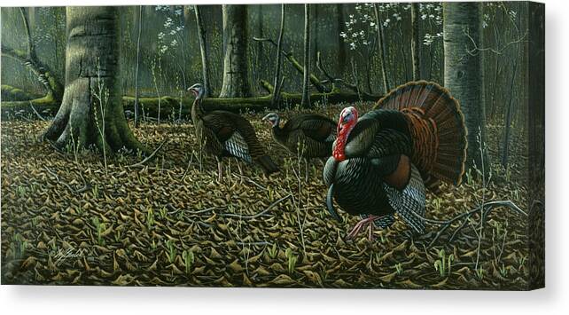Wild Turkeys Walking Through The Forest Canvas Print featuring the painting The Suitor - Wild Turkeys by Wilhelm Goebel