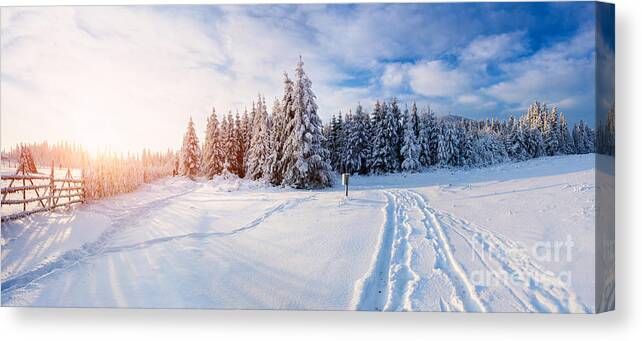 Forest Canvas Print featuring the photograph The Winter Road by Standret