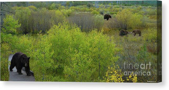 Digital Art Canvas Print featuring the photograph Bears, one with a salmon in El Dorado National Forest, California, U. S. A. by PROMedias US