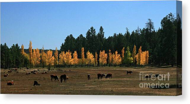 Arizona Canvas Print featuring the photograph Fall in Line 2 by Randy Oberg