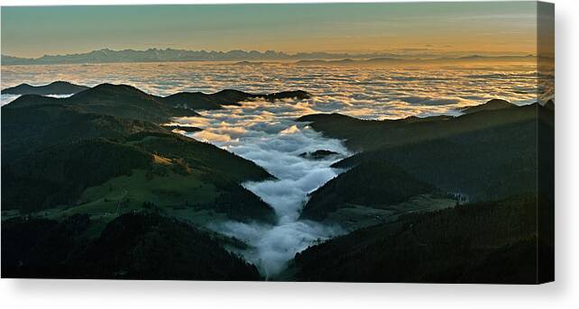 Black Forest Canvas Print featuring the photograph Fog Tsunami by Philip Konstas