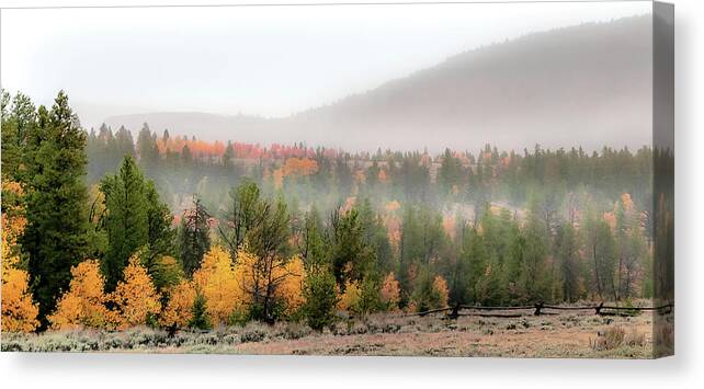 Fall Canvas Print featuring the photograph Gold at Miner's Delight by Laura Terriere
