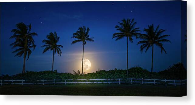 Moon Canvas Print featuring the photograph Mystic Moonlight by Mark Andrew Thomas