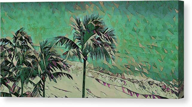 Palm Canvas Print featuring the photograph Palm Trees 629 by Corinne Carroll