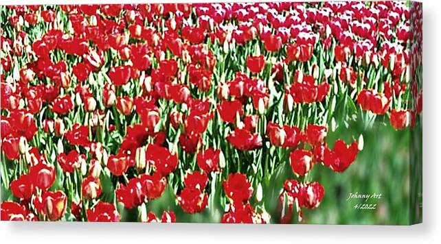 Flowers Canvas Print featuring the photograph Stand up Troops by John Anderson