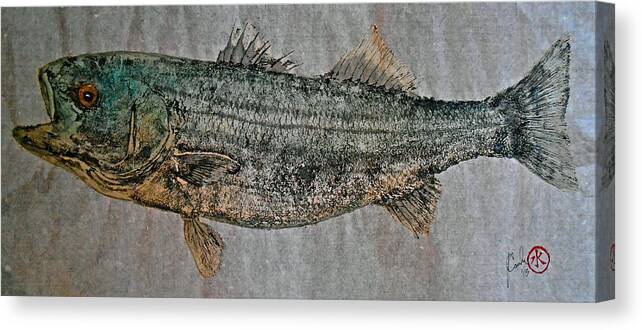 Gyotaku Canvas Print featuring the mixed media Gyotaku - Striped Bass - Rock Fish - Striper #1 by Jeffrey Canha
