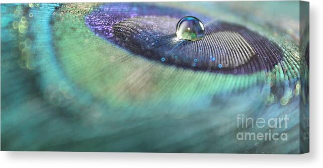 Feather Canvas Print featuring the photograph Faithful by Krissy Katsimbras