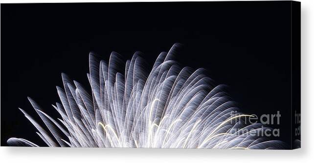 Fourth Of July Fireworks Canvas Print featuring the photograph Feathers of Fire Fireworks by Robert E Alter Reflections of Infinity