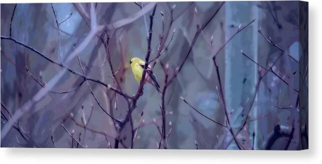 Goldfinch Canvas Print featuring the photograph Goldfinch in the Woods 2 by Henry Kowalski