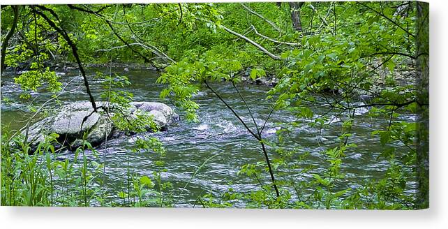 River Canvas Print featuring the photograph Refreshing by Robert J Andler