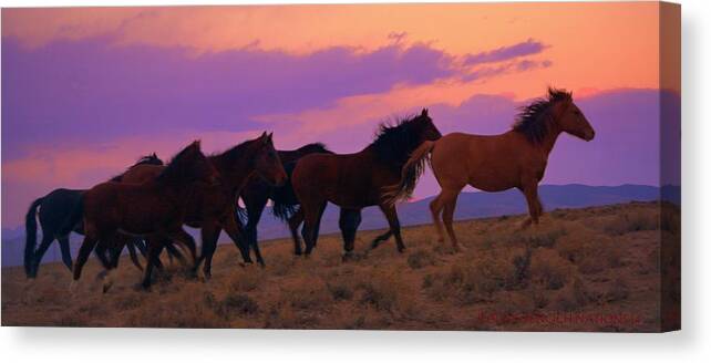 Wild Horses Canvas Print featuring the photograph Running Wild Running Free by Jeanne Bencich-Nations