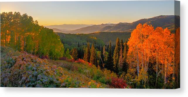 Colorado Canvas Print featuring the photograph Season of Gold by Kevin Dietrich