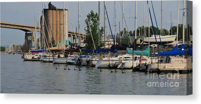 Erie Canvas Print featuring the photograph Marina by Kathleen Struckle