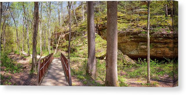 Ferne Clyffe Canvas Print featuring the photograph Ferne Clyffe Panorama by Susan Rissi Tregoning