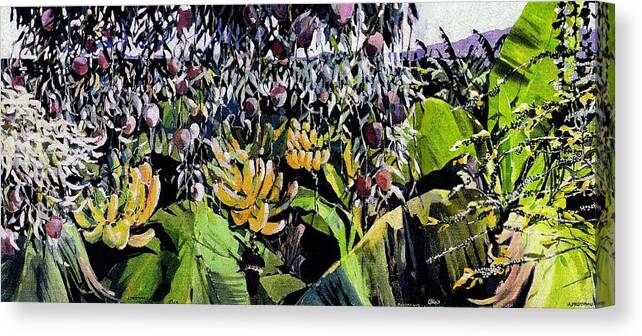  Landscape Tropical Garden Exotic Fruits Hawaii Canvas Print featuring the painting Hawaiian Garden by Andrew Drozdowicz