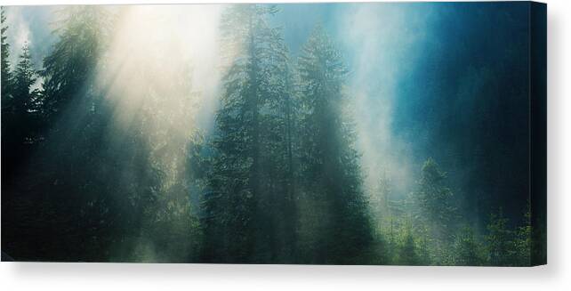 Landscape Canvas Print featuring the photograph Sunny showers by Floriana Barbu