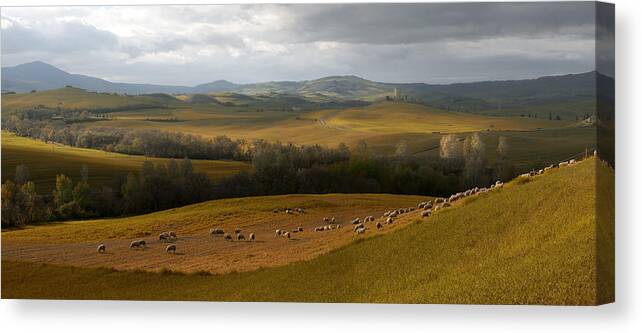 Toskany Canvas Print featuring the photograph The heart of Toscany by Jaroslaw Blaminsky