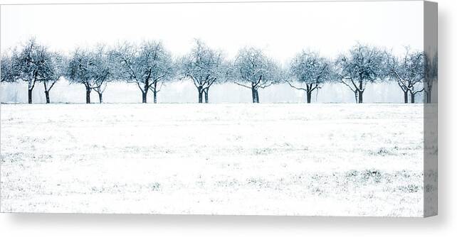 Winter Canvas Print featuring the photograph Snow Row by Heinz Hieke