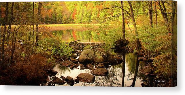Landscape Canvas Print featuring the photograph Beaver Pond by Jim Carlen
