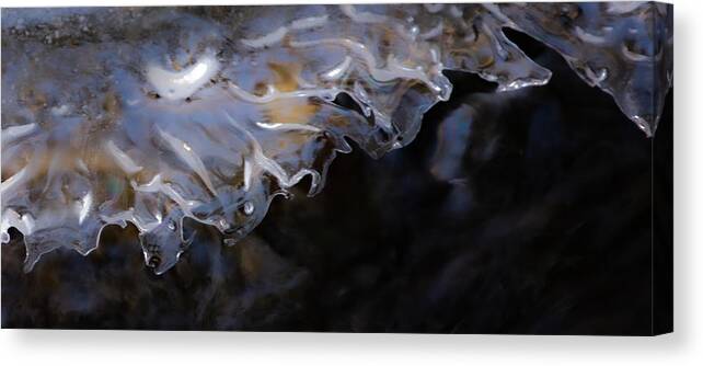 Ice Canvas Print featuring the photograph Ice Lace 2 by Linda Bonaccorsi