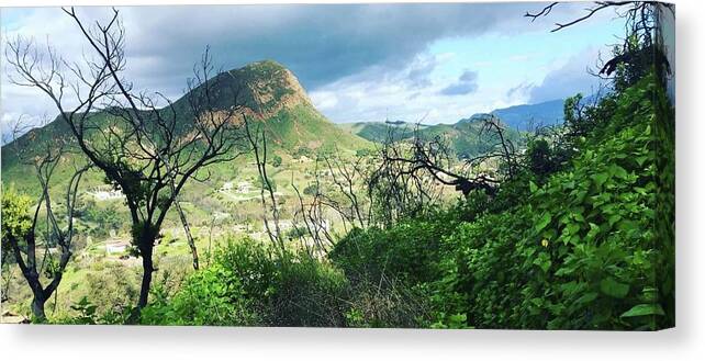 Sugarloaf Canvas Print featuring the photograph Sugarloaf mountain Malibu by Luisa Millicent