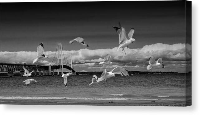 Art Canvas Print featuring the photograph A Flock of Gulls by the Straits of Mackinac #1 by Randall Nyhof