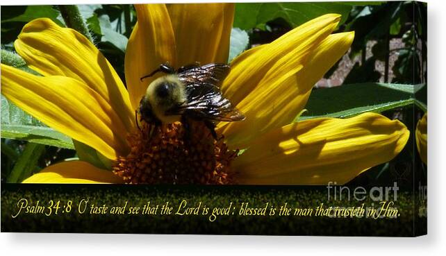 Bumble Bees Canvas Print featuring the photograph 1 H O Taste And See by Dale Crum