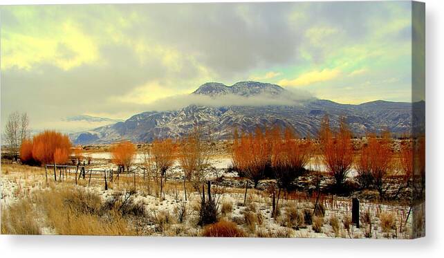 Mountain Canvas Print featuring the photograph North #1 by Kathy Bassett