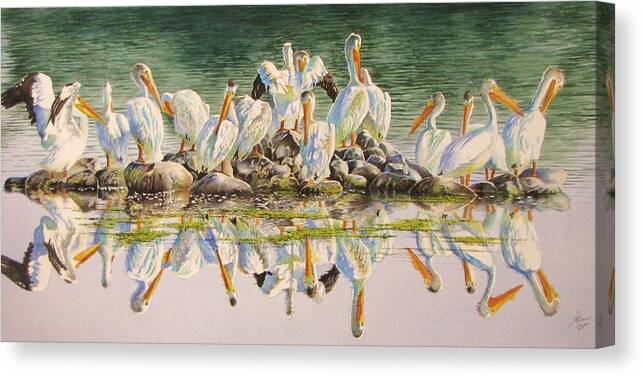 Pelican Canvas Print featuring the painting Standing Room Only #2 by Greg and Linda Halom