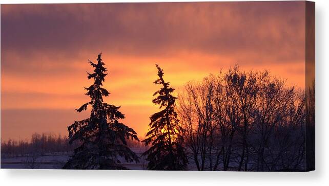 Sun Canvas Print featuring the photograph Above the Horizon by Ellery Russell