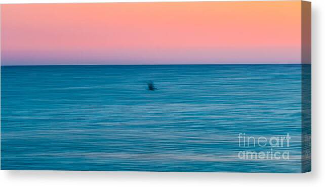 Abstract Canvas Print featuring the photograph Abstract seagull by Luca Venturelli