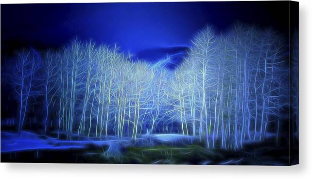 Nature Canvas Print featuring the digital art Aspens By Moonlight by William Horden