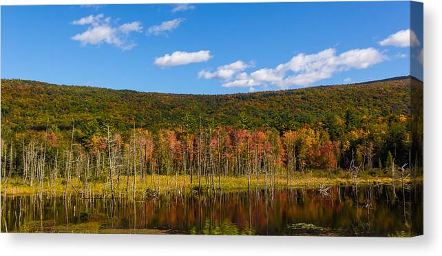 Fall Color Canvas Print featuring the photograph Beaver dam and fall color by Vance Bell