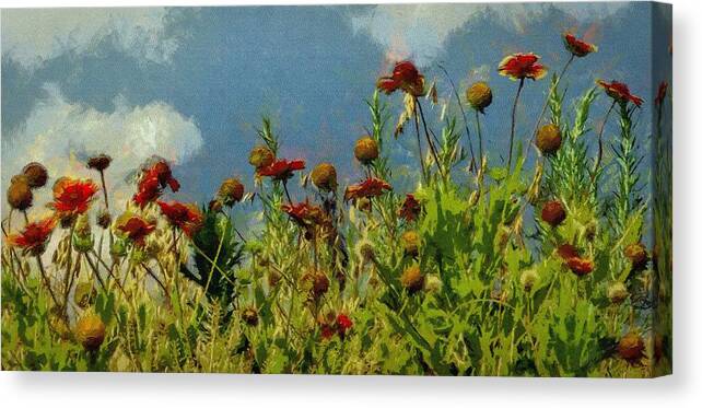 Firewheel Canvas Print featuring the painting Blanketing the Sky by Jeffrey Kolker