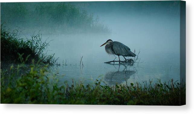 Nature Canvas Print featuring the photograph Blue Heron Morning by Deborah Smith