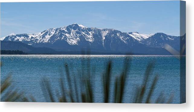 Lake Tahoe Canvas Print featuring the photograph By the Shores of Lake Tahoe by Michele Myers