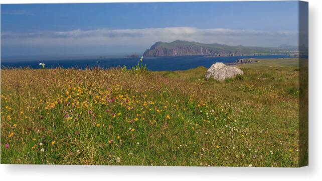 Clogher Beach Canvas Print featuring the photograph Dingle Wildflowers by Ryan Moyer