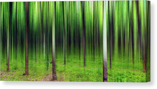 Tranquility Canvas Print featuring the photograph Dream by Simonlong