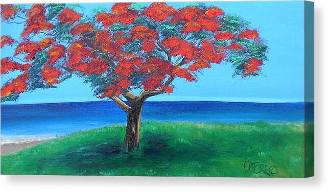 Flamboyant Tree Canvas Print featuring the painting Flamboyan Overlooking Ocean by Melissa Torres